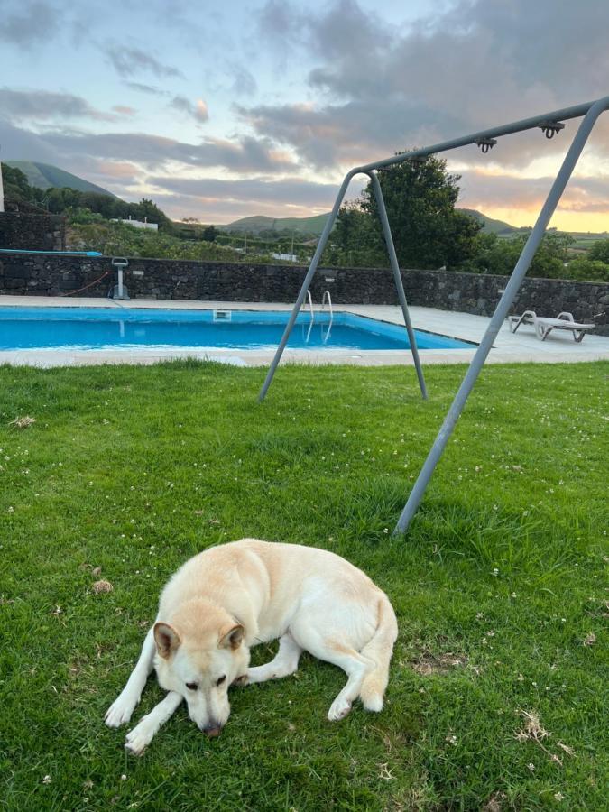 Arrenquinha Guesthouse 1 São Vicente Ferreira Zewnętrze zdjęcie