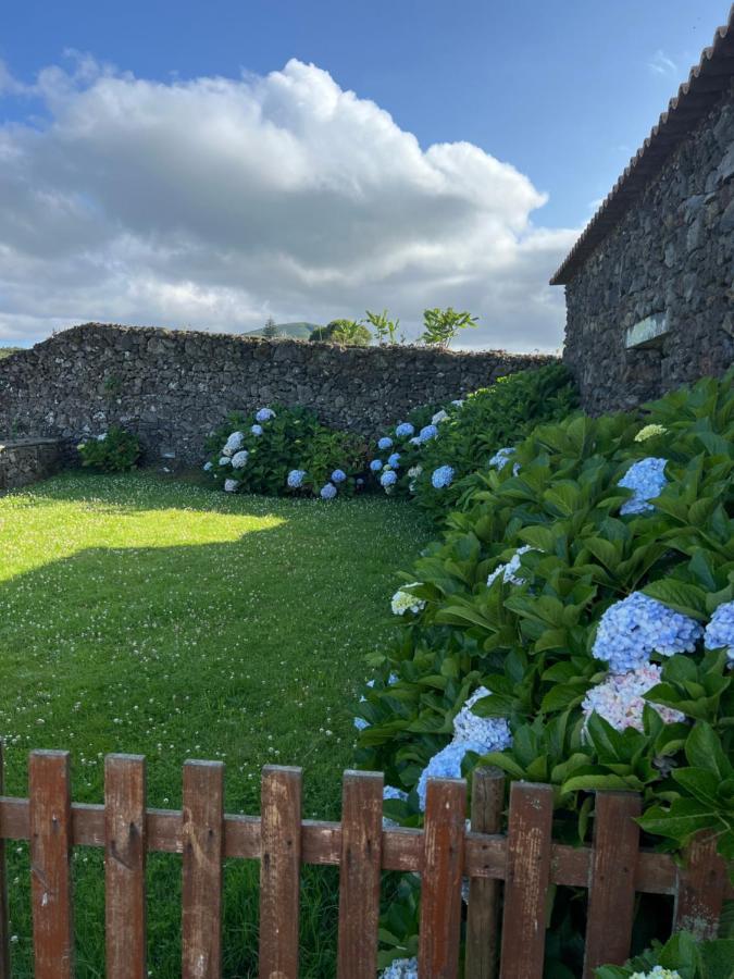 Arrenquinha Guesthouse 1 São Vicente Ferreira Zewnętrze zdjęcie